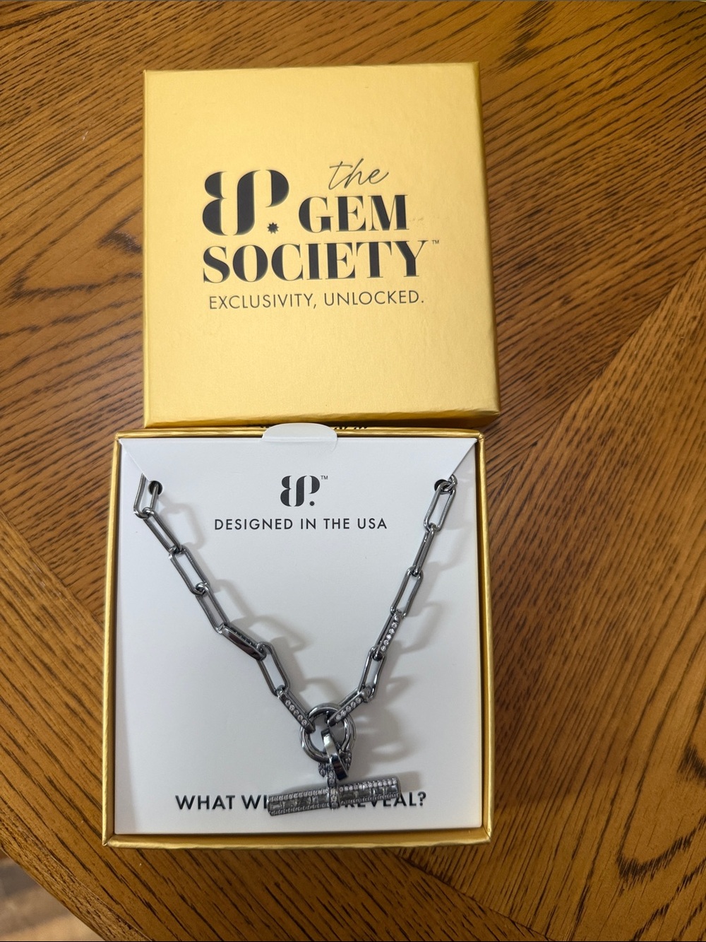 The Gem Society Silver Pavé Toggle Link Necklace